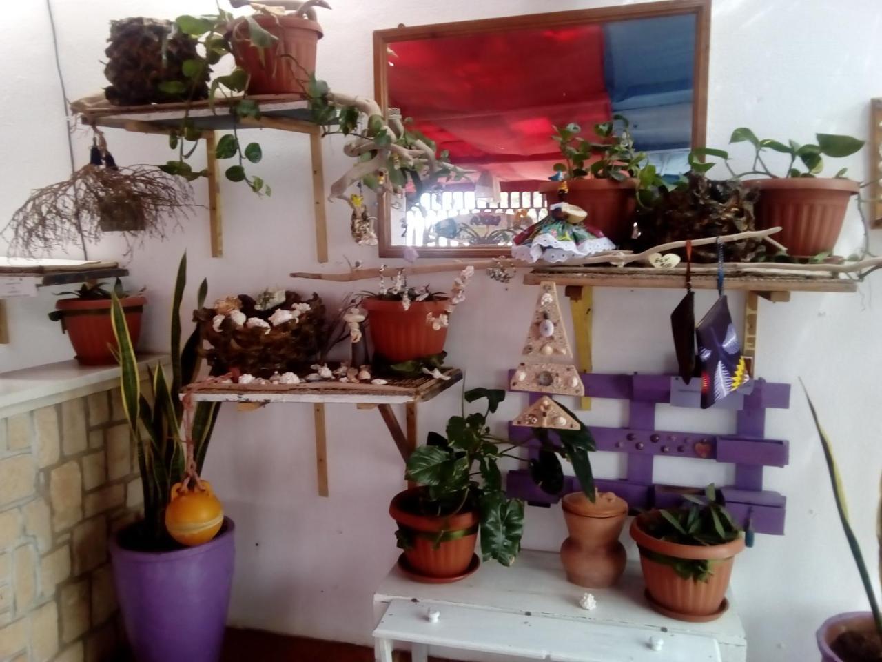 Residence A Paz 萨尔雷 外观 照片