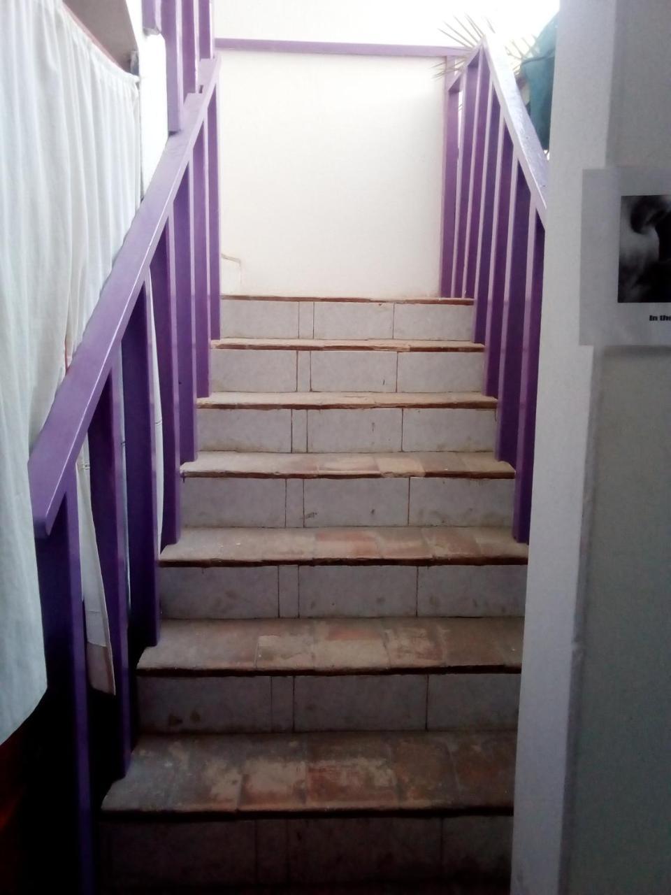 Residence A Paz 萨尔雷 外观 照片